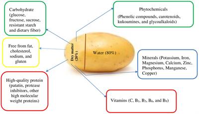 Perspective: could Ethiopian potatoes contribute to environmental sustainability, the Ethiopian economy, and human health?
